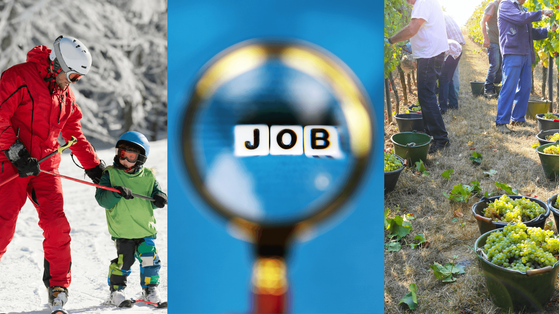 emploi saisonnier